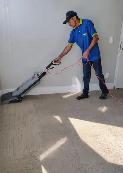 limpeza de carpetes em goiania