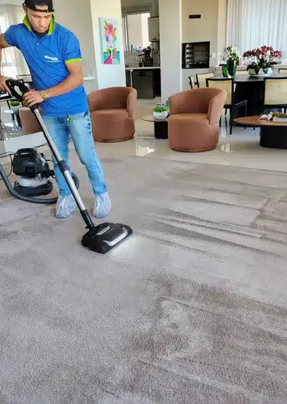 limpeza de carpete em goiania